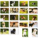 Best Paper Greetings 40 Pack Assorted Puppy Dog Blank Postcards Greeting Post Cards All Occasions Bulk Set 4x6 in