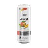 CELSIUS Fizz Free Peach Mango Green Tea Functional Energy Drink - 12 fl oz Single Can - 2 of 4