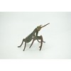 Collectible Wildlife Gifts | Praying Mantis, Mantodea,  Museum Quality, Rubber Insect, Design, Hand Painted,  Toy, Model,   Gift,   5"   CH302 BB181 - 4 of 4