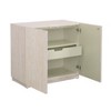 Treasure Trove Accents 2 Door Cabinet Summer Sandcastle Natural: Touch-Latch, European Hinges, Shelved Storage - 3 of 4