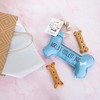 Pavilion Gift Company - Coolest Dog - Canvas Dog Toy on a Rope - Pet Toy - 4 of 4