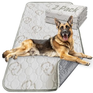 FXW Washable Pee Pads for Dogs, Puppy Pads with Super Absorbent, 2 Pack - 1 of 4