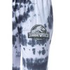 Jurassic World Womens' Dinosaur Film Movie Logo Sleep Jogger Pajama Pants Multicolored - 2 of 3