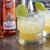 Master of Mixes Cocktail Essentials Agave Nectar Syrup - 375ml Bottle (12.7 Fl Oz) - Mixer Perfect for Bartenders and Mixologists - 4 of 4