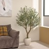 Dr.Planzen 6ft Artificial Olive Tree in White Planter - Faux Olive Tree for Indoor/Outdoor D¨¦cor, Fake Plant with Realistic Green Branches - 2 of 4