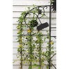 Achla Designs 58" Sunflower Iron Trellis Side Panels, Set of 2: Outdoor Garden Screen, No Assembly Required - 3 of 3