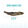 Icelandic+ Whole Fish Sprat - 2oz Bag, Wild-Caught, Air-Dried Crunchy Dog Treats - 3 of 4