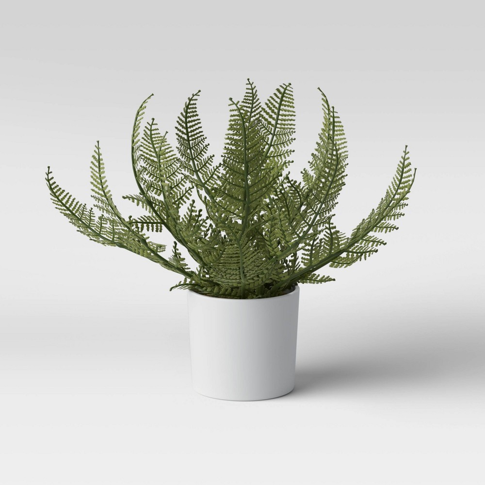 8" x 11" Artificial Fern Arrangement in Pot - Threshold™pack 4 