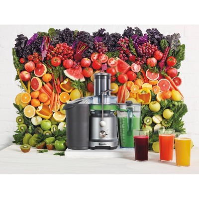Breville Silver Electric Masticating Juicer with Pulp Receptacle