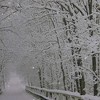 Northlight Large Fiber Optic Lighted Winter Wooden Bridge Canvas Wall Art 23.5" x 15.5" - 2 of 3