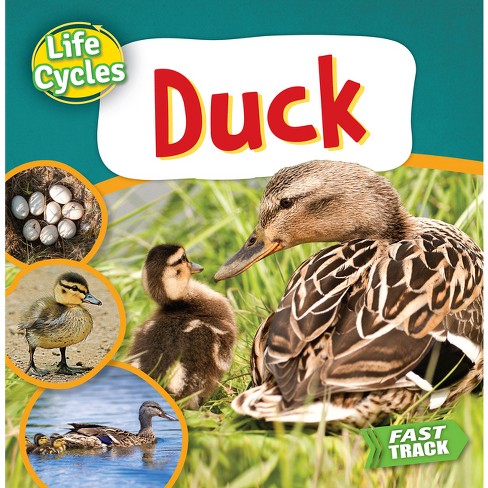 Duck life cycle book recommendations and lesson ideas. — Books