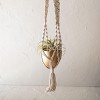 Macrame Hanging Planter Cotton & Metal - Foreside Home & Garden - 2 of 4