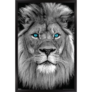 Trends International Reinders: Animals - Blue Eyed Lion Framed Wall Poster Prints - 1 of 4