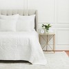 EY Essentials 20" x 26" Shyla Dove Cotton Standard Sham - Machine Washable - 2 of 4