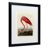 Trademark Fine Art - John James Audubon American Flamingo Matted Framed Art - 3 of 4