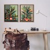 Stupell Industries Various House Plants, 31" x 25" - 2 of 4