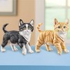 Collections Etc Cute Kitten - 3 of 4