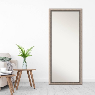 Elegant Full-Length Bronze and Silver Wood Framed Mirror