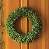 Plum & Post Boxwood Wreath 24" - 2 of 3