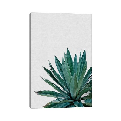 iCanvas Agave Cactus by Orara Studio Canvas Print Wall Art