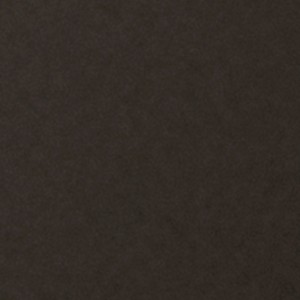 Blackened Bronze/White