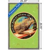 Trends International Jim Baldwin - Iguana Framed Wall Poster Prints - 3 of 4