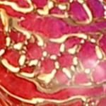 orange, blue, purple