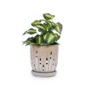 Chic Crate Modern Striped Ceramic Planter Set of 2 (8") – With Drainage & Saucer, Indoor & Outdoor Use - 4 of 4