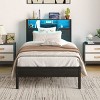 Black Metal Bed Frame With Charging Station, RGB LED Lights And Under-Bed Storage, Side Bookcase, No Box Spring Required-The Pop Home - 2 of 4