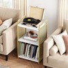 Jojoka Golden Record Player Stand, Metal Turntable Stand with 3-Tier Storage - 3 of 4