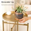 VINGLI Round Metal Side Table with Removable Tray, Outdoor Patio Coffee Table for Small Spaces, Outdoor Patio, Living Room (X-Brace & Non-Slip Pads) - 4 of 4