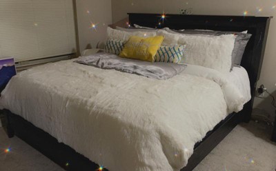 Emma Faux Fur Comforter Set - Lush Décor : Target