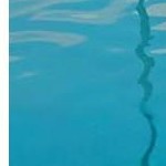 dark gray + light gray