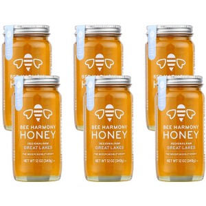 Bee Harmony Great Lakes Regional Raw Honey - 6 pack, 12 oz - 1 of 4