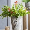 VisioGear 2Pcs Sleep Face Accent Planter, Modern Design for Indoor and Outdoor Spaces, Antique Gray, 6.5"*6"*8.5" - 4 of 4