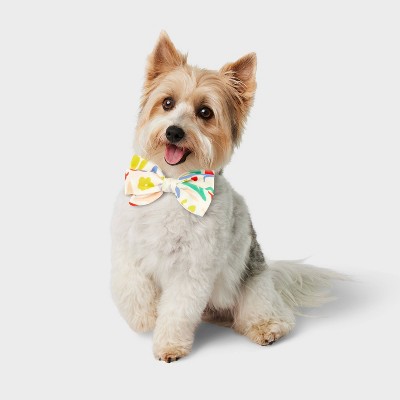 Modern Floral Feminine Cat and Dog Bowtie - Boots &#38; Barkley&#8482; - One Size Fits Most