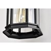 Nuvo Lighting Hopkins 1 - Light Lantern in  Matte Black - 3 of 4