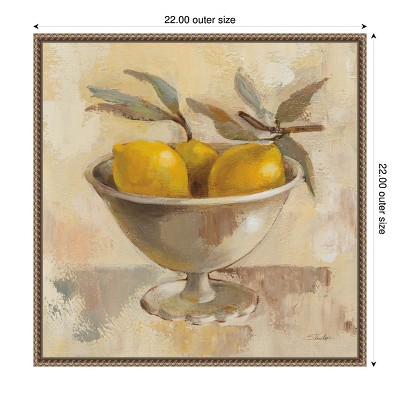 Amanti Art Fruits in Old Bowl I by Silvia Vassileva Canvas Wall Art Print Framed 22 x 22