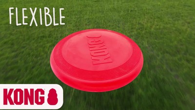 Kong Puppy Flyer Frisbee