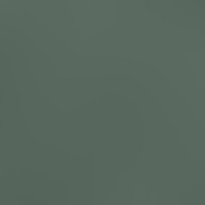 pine