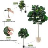 5.2 Ft Artificial Ficus Lyrata Plant, Faux Fiddle Leaf Fig Tree with 62 Fiddle Leaves for Indoor Outdoor Home Office Decor Housewarming Gift - 4 of 4