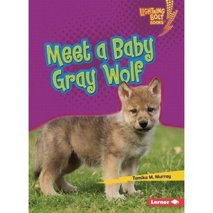 Meet a Baby Gray Wolf - (Lightning Bolt Books (R) -- Baby North American Animals) by  Tamika M Murray (Paperback) - 1 of 1