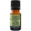 Plantlife Cedar Leaf Essential Oil – 100% Pure & Therapeutic Grade – Natural, Undiluted – No Additives or Fillers – 10 ml - 2 of 2