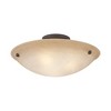 Livex Lighting Oasis 3 - Light Semi-Flush Mount in  Bronze - 4 of 4