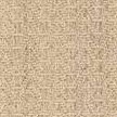 desert sand