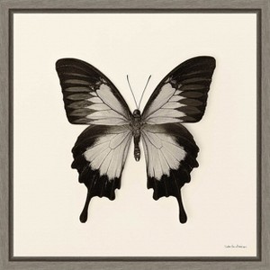 Amanti Art Butterfly III BnW by Debra Van Swearingen Canvas Wall Art Print Framed 16-in. x 16-in. - 1 of 4