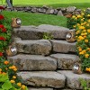 Solar Outdoor Lights - 4-Pack of All-Weather Faux-Stone LED Rock Lights for Paths, Gardens, and Landscaping by Pure Garden (Brown) - 2 of 4