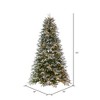 Vickerman Artificial Frosted Douglas Fir Christmas Tree - 3 of 4