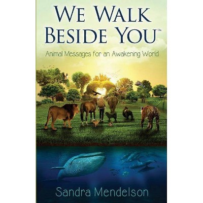 We Walk Beside You - by  Sandra Mendelson (Paperback)