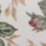 blooming floral rose